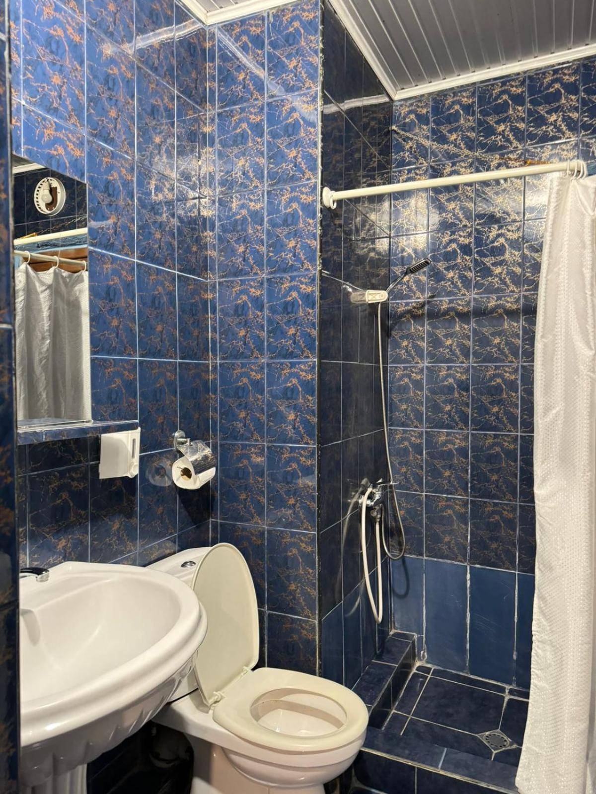 Benene'S Apartments Тбілісі Номер фото